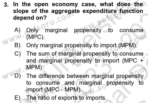 International Economics 2 Dersi 2023 - 2024 Yılı (Vize) Ara Sınav Soruları 3. Soru