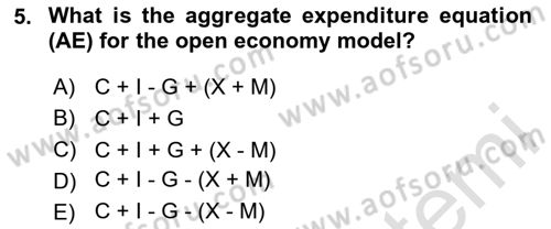International Economics 2 Dersi 2023 - 2024 Yılı (Vize) Ara Sınav Soruları 5. Soru