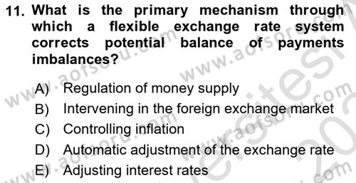 International Economics 2 Dersi 2023 - 2024 Yılı (Final) Dönem Sonu Sınav Soruları 11. Soru