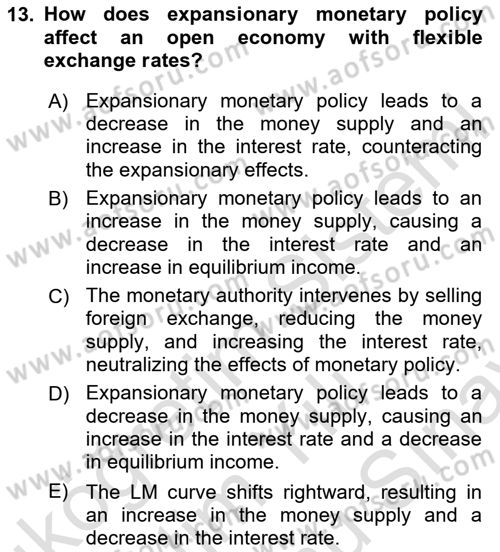 International Economics 2 Dersi 2023 - 2024 Yılı (Final) Dönem Sonu Sınav Soruları 13. Soru