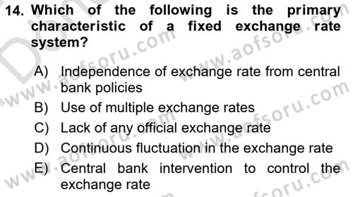 International Economics 2 Dersi 2023 - 2024 Yılı (Final) Dönem Sonu Sınav Soruları 14. Soru