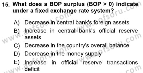 International Economics 2 Dersi 2023 - 2024 Yılı (Final) Dönem Sonu Sınav Soruları 15. Soru