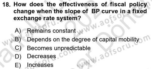 International Economics 2 Dersi 2023 - 2024 Yılı (Final) Dönem Sonu Sınav Soruları 18. Soru