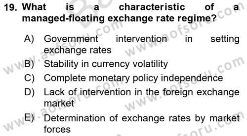 International Economics 2 Dersi 2023 - 2024 Yılı (Final) Dönem Sonu Sınav Soruları 19. Soru
