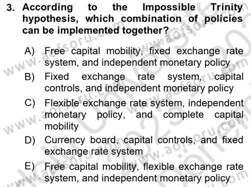 International Economics 2 Dersi 2023 - 2024 Yılı (Final) Dönem Sonu Sınav Soruları 3. Soru