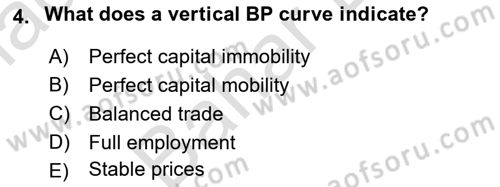 International Economics 2 Dersi 2023 - 2024 Yılı (Final) Dönem Sonu Sınav Soruları 4. Soru