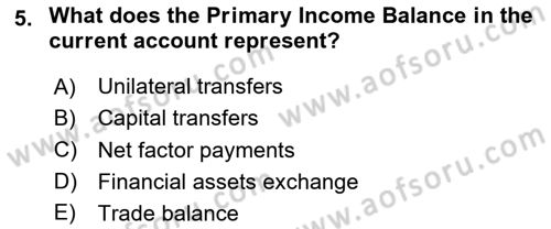 International Economics 2 Dersi 2023 - 2024 Yılı (Final) Dönem Sonu Sınav Soruları 5. Soru
