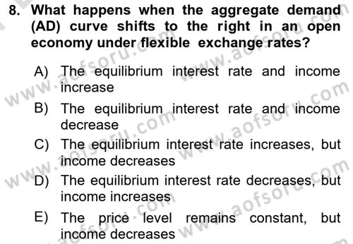 International Economics 2 Dersi 2023 - 2024 Yılı (Final) Dönem Sonu Sınav Soruları 8. Soru