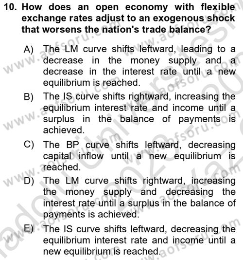 International Economics 2 Dersi 2023 - 2024 Yılı Yaz Okulu Sınav Soruları 10. Soru