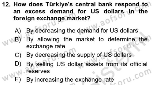 International Economics 2 Dersi 2023 - 2024 Yılı Yaz Okulu Sınavı 12. Soru