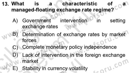 International Economics 2 Dersi 2023 - 2024 Yılı Yaz Okulu Sınav Soruları 13. Soru