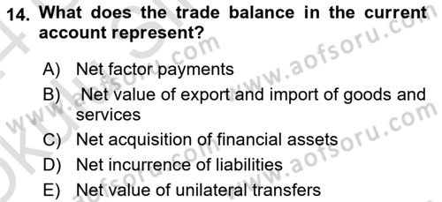 International Economics 2 Dersi 2023 - 2024 Yılı Yaz Okulu Sınav Soruları 14. Soru