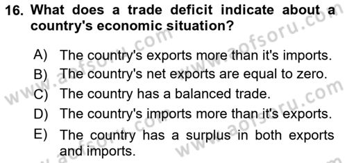 International Economics 2 Dersi 2023 - 2024 Yılı Yaz Okulu Sınav Soruları 16. Soru