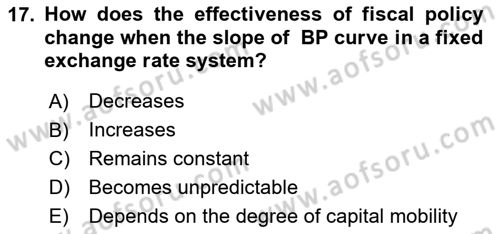 International Economics 2 Dersi 2023 - 2024 Yılı Yaz Okulu Sınav Soruları 17. Soru