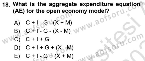 International Economics 2 Dersi 2023 - 2024 Yılı Yaz Okulu Sınav Soruları 18. Soru