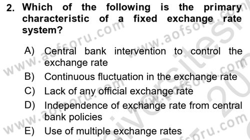 International Economics 2 Dersi 2023 - 2024 Yılı Yaz Okulu Sınav Soruları 2. Soru