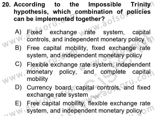 International Economics 2 Dersi 2023 - 2024 Yılı Yaz Okulu Sınavı 20. Soru