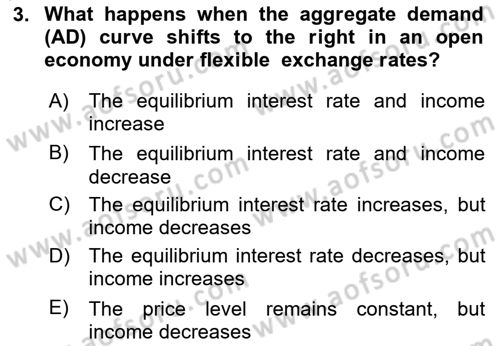 International Economics 2 Dersi 2023 - 2024 Yılı Yaz Okulu Sınav Soruları 3. Soru