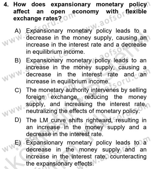 International Economics 2 Dersi 2023 - 2024 Yılı Yaz Okulu Sınav Soruları 4. Soru