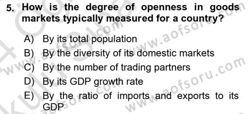 International Economics 2 Dersi 2023 - 2024 Yılı Yaz Okulu Sınav Soruları 5. Soru