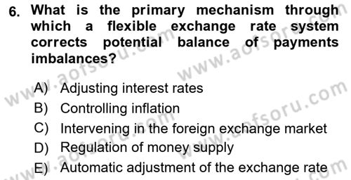 International Economics 2 Dersi 2023 - 2024 Yılı Yaz Okulu Sınav Soruları 6. Soru
