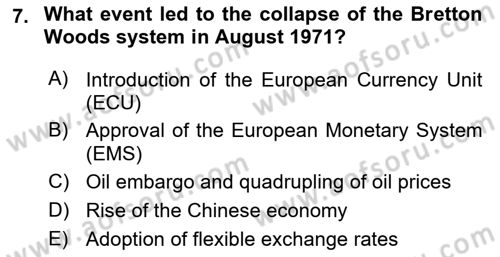 International Economics 2 Dersi 2023 - 2024 Yılı Yaz Okulu Sınav Soruları 7. Soru