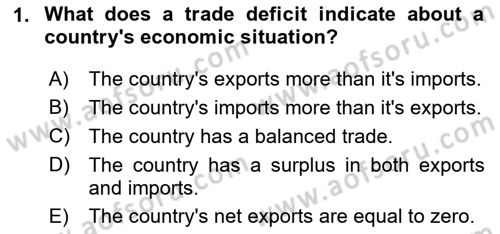 International Economics 2 Dersi 2024 - 2025 Yılı (Vize) Ara Sınav Soruları 1. Soru