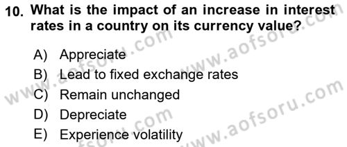 International Economics 2 Dersi 2024 - 2025 Yılı (Vize) Ara Sınav Soruları 10. Soru