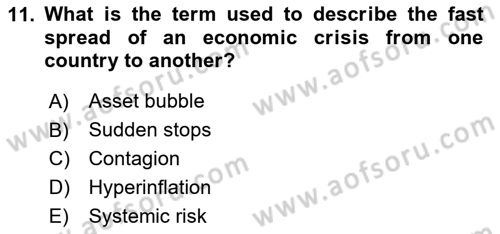 International Economics 2 Dersi 2024 - 2025 Yılı (Vize) Ara Sınav Soruları 11. Soru