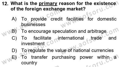 International Economics 2 Dersi 2024 - 2025 Yılı (Vize) Ara Sınav Soruları 12. Soru