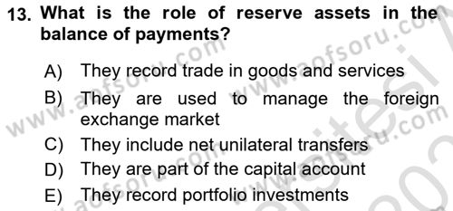 International Economics 2 Dersi 2024 - 2025 Yılı (Vize) Ara Sınav Soruları 13. Soru