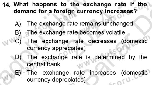 International Economics 2 Dersi 2024 - 2025 Yılı (Vize) Ara Sınav Soruları 14. Soru