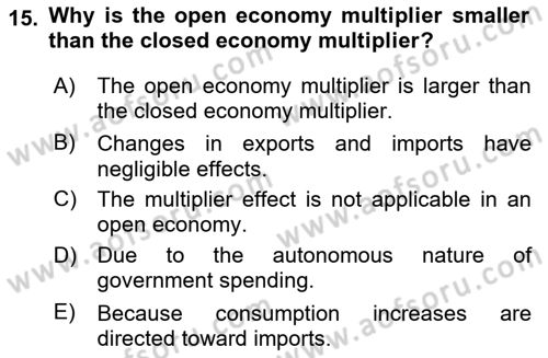 International Economics 2 Dersi 2024 - 2025 Yılı (Vize) Ara Sınav Soruları 15. Soru