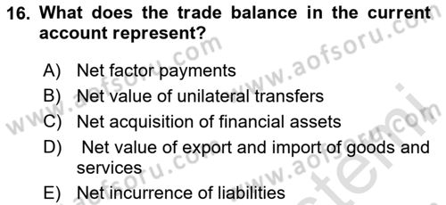 International Economics 2 Dersi 2024 - 2025 Yılı (Vize) Ara Sınav Soruları 16. Soru