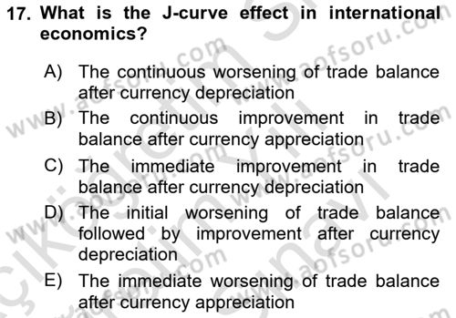 International Economics 2 Dersi 2024 - 2025 Yılı (Vize) Ara Sınav Soruları 17. Soru