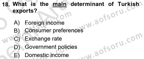 International Economics 2 Dersi 2024 - 2025 Yılı (Vize) Ara Sınav Soruları 18. Soru
