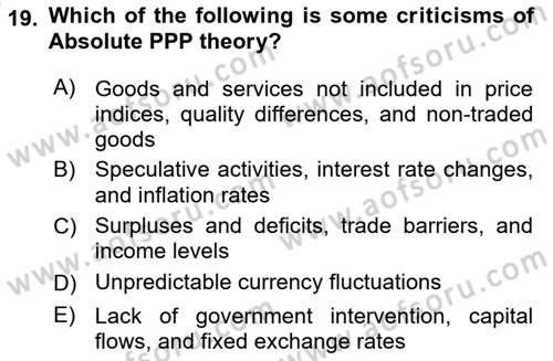 International Economics 2 Dersi 2024 - 2025 Yılı (Vize) Ara Sınav Soruları 19. Soru