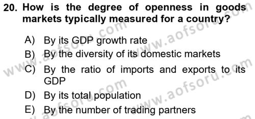 International Economics 2 Dersi 2024 - 2025 Yılı (Vize) Ara Sınav Soruları 20. Soru