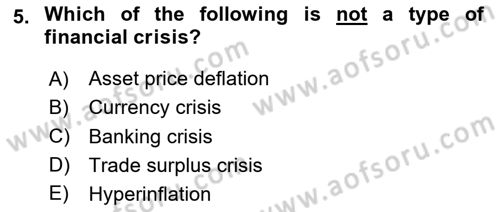 International Economics 2 Dersi 2024 - 2025 Yılı (Vize) Ara Sınav Soruları 5. Soru
