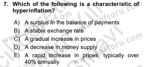 International Economics 2 Dersi 2024 - 2025 Yılı (Vize) Ara Sınav Soruları 7. Soru