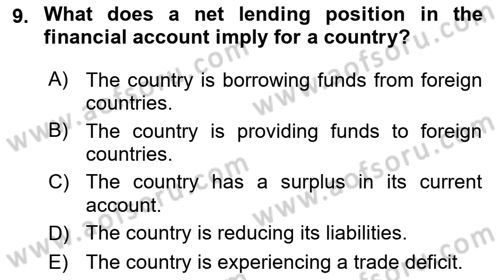 International Economics 2 Dersi 2024 - 2025 Yılı (Vize) Ara Sınav Soruları 9. Soru