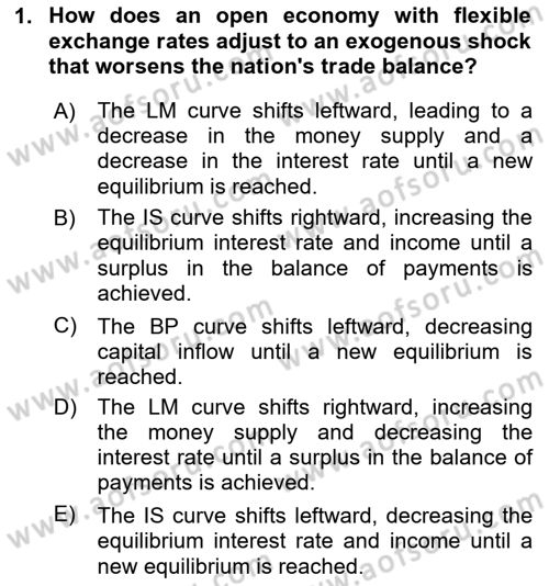 International Economics 2 Dersi 2024 - 2025 Yılı (Final) Dönem Sonu Sınav Soruları 1. Soru