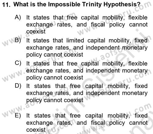 International Economics 2 Dersi 2024 - 2025 Yılı (Final) Dönem Sonu Sınav Soruları 11. Soru