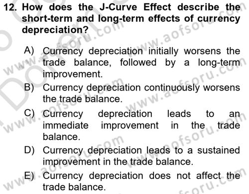 International Economics 2 Dersi 2024 - 2025 Yılı (Final) Dönem Sonu Sınav Soruları 12. Soru
