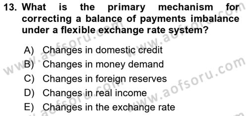 International Economics 2 Dersi 2024 - 2025 Yılı (Final) Dönem Sonu Sınav Soruları 13. Soru