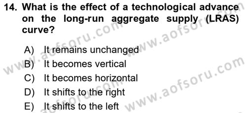 International Economics 2 Dersi 2024 - 2025 Yılı (Final) Dönem Sonu Sınav Soruları 14. Soru
