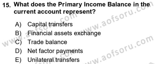International Economics 2 Dersi 2024 - 2025 Yılı (Final) Dönem Sonu Sınav Soruları 15. Soru
