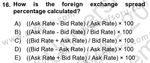 International Economics 2 Dersi 2024 - 2025 Yılı (Final) Dönem Sonu Sınav Soruları 16. Soru
