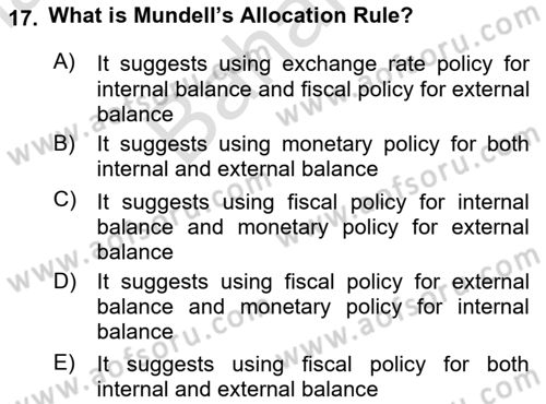 International Economics 2 Dersi 2024 - 2025 Yılı (Final) Dönem Sonu Sınav Soruları 17. Soru