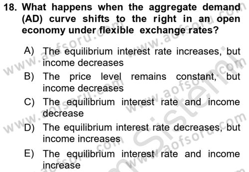 International Economics 2 Dersi 2024 - 2025 Yılı (Final) Dönem Sonu Sınav Soruları 18. Soru